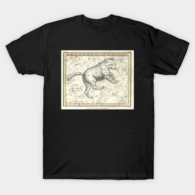 Ursa Major Big Dipper - Alexander Jamieson T-Shirt by forgottenbeauty